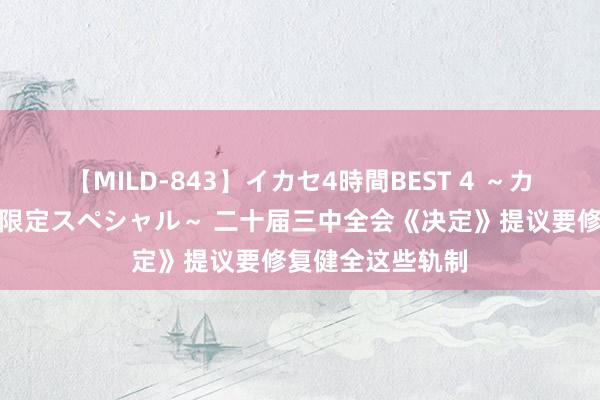 【MILD-843】イカセ4時間BEST 4 ～カリスマアイドル限定スペシャル～ 二十届三中全会《决定》提议要修复健全这些轨制