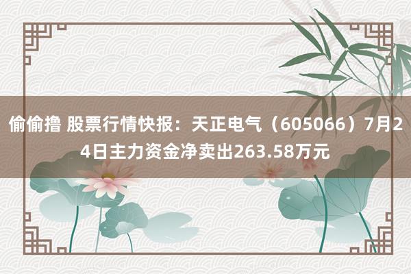 偷偷撸 股票行情快报：天正电气（605066）7月24日主力资金净卖出263.58万元