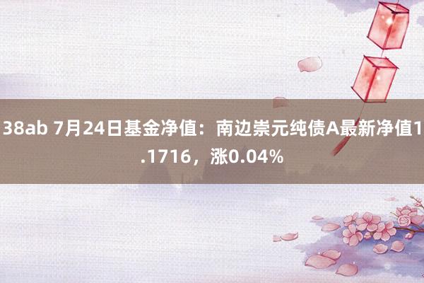 38ab 7月24日基金净值：南边崇元纯债A最新净值1.1716，涨0.04%