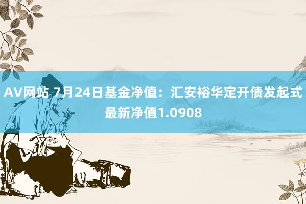 AV网站 7月24日基金净值：汇安裕华定开债发起式最新净值1.0908