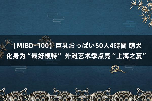 【MIBD-100】巨乳おっぱい50人4時間 萌犬化身为“最好模特” 外滩艺术季点亮“上海之夏”