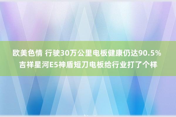 欧美色情 行驶30万公里电板健康仍达90.5% 吉祥星河E5神盾短刀电板给行业打了个样