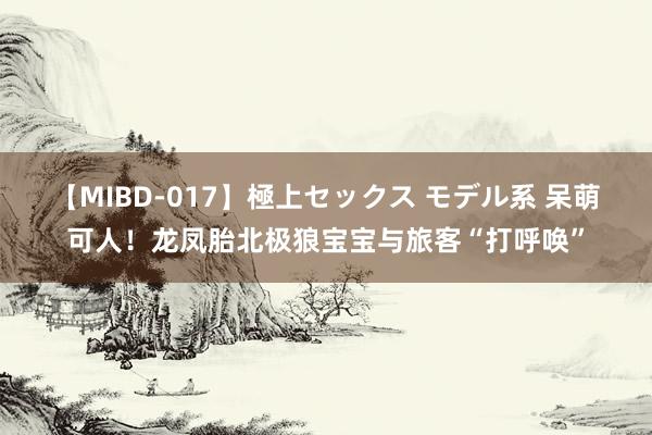 【MIBD-017】極上セックス モデル系 呆萌可人！龙凤胎北极狼宝宝与旅客“打呼唤”