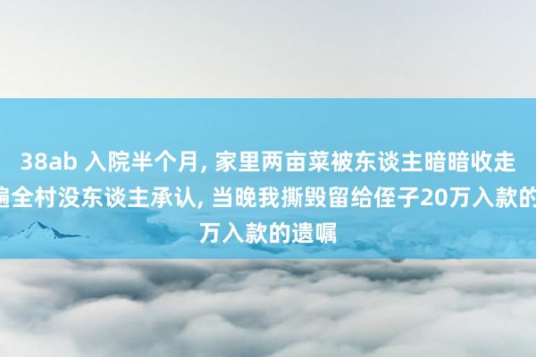 38ab 入院半个月， 家里两亩菜被东谈主暗暗收走， 问遍全村没东谈主承认， 当晚我撕毁留给侄子20万入款的遗嘱