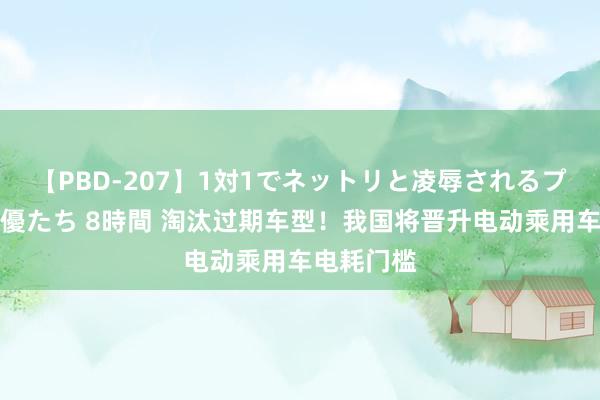 【PBD-207】1対1でネットリと凌辱されるプレミア女優たち 8時間 淘汰过期车型！我国将晋升电动乘用车电耗门槛