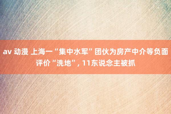 av 动漫 上海一“集中水军”团伙为房产中介等负面评价“洗地”, 11东说念主被抓