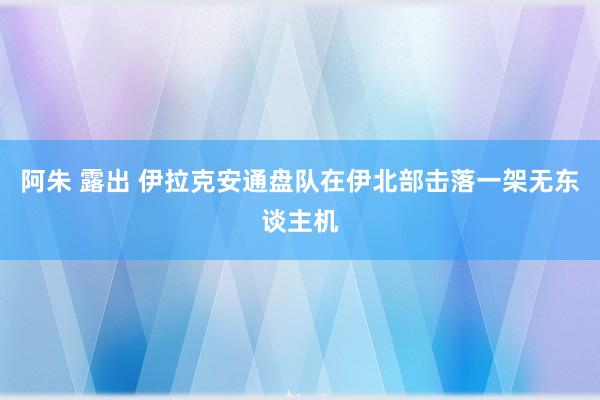 阿朱 露出 伊拉克安通盘队在伊北部击落一架无东谈主机