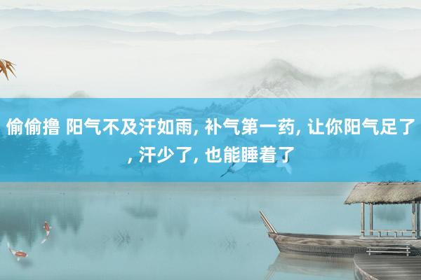 偷偷撸 阳气不及汗如雨, 补气第一药, 让你阳气足了, 汗少了, 也能睡着了