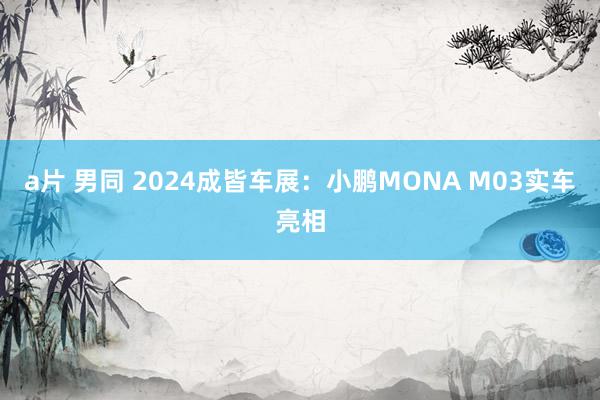 a片 男同 2024成皆车展：小鹏MONA M03实车亮相