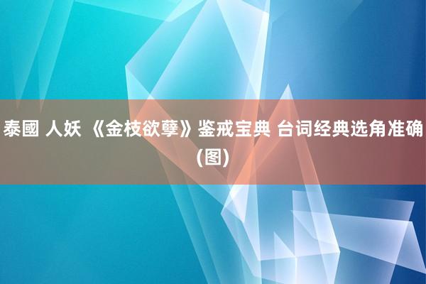 泰國 人妖 《金枝欲孽》鉴戒宝典 台词经典选角准确(图)