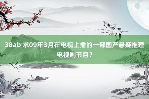 38ab 求09年3月在电视上播的一部国产悬疑推理电视剧节目？