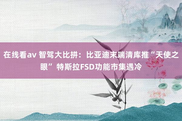 在线看av 智驾大比拼：比亚迪末端清库推“天使之眼” 特斯拉FSD功能市集遇冷